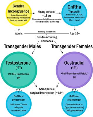 Gender-Diverse Inclusion in Immunological Research: Benefits to Science and Health